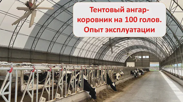 Тентовый ангар для КРС - комфортная альтернатива традиционному коровнику. Отзыв владельца