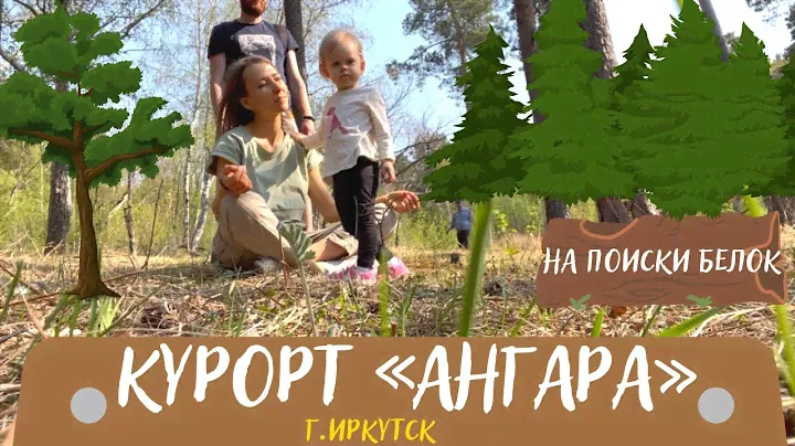Курорт Ангара в Иркутске. Ищем белок в парке санатория